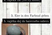 7.-den-OLA-16