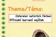 7.-den-OLA-IG-nahled