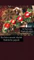 1_advent_2020-10