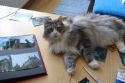 Blog-Fotoalbum-2-21