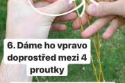 Blog-Jak-uplést-pomlázku-10