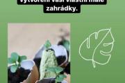 Blog_zahradka-1