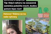 Blog_zahradka-4