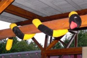 Junior-2006-Den-1-2