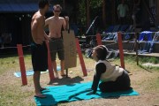 Klasik-2011-Den-7-14